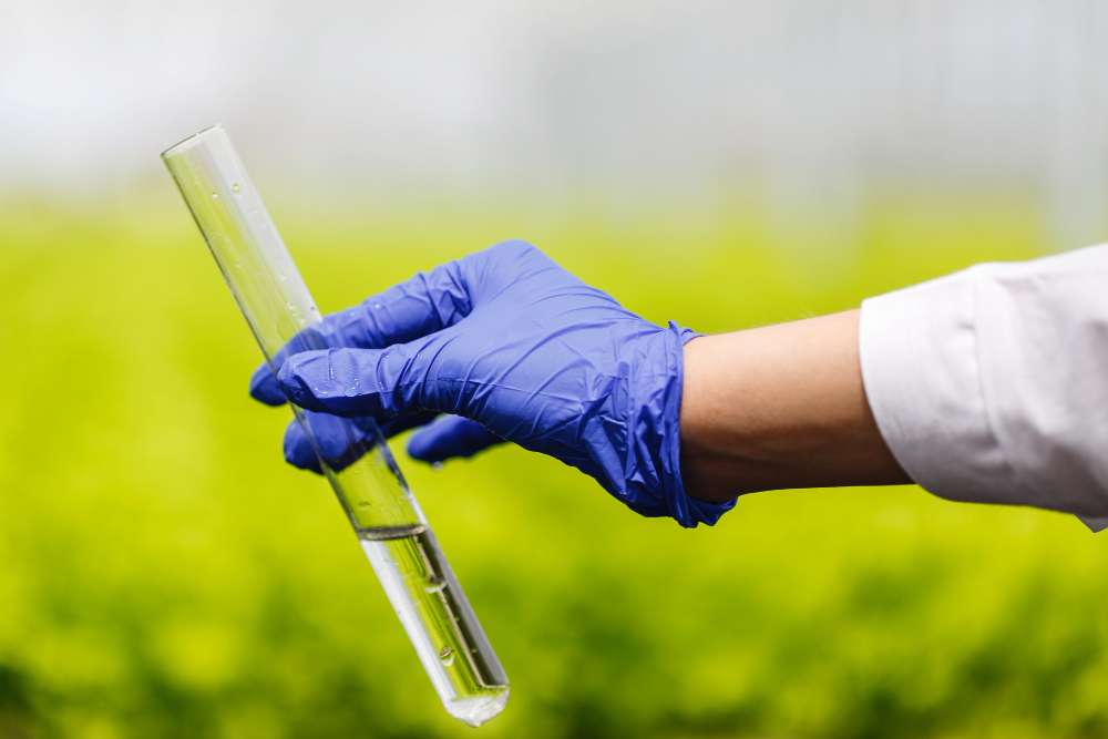 Chemical & Fertilizer
